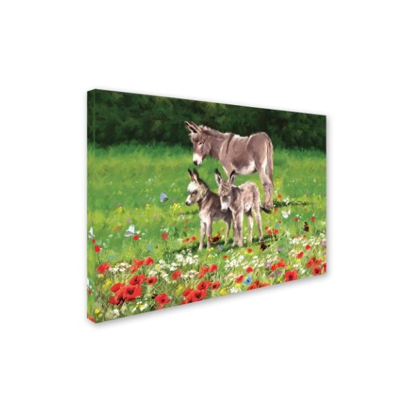 The Macneil Studio 'Donkeys Landscape' Canvas Art,35x47